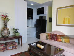 Zenith (D10), Apartment #116918032